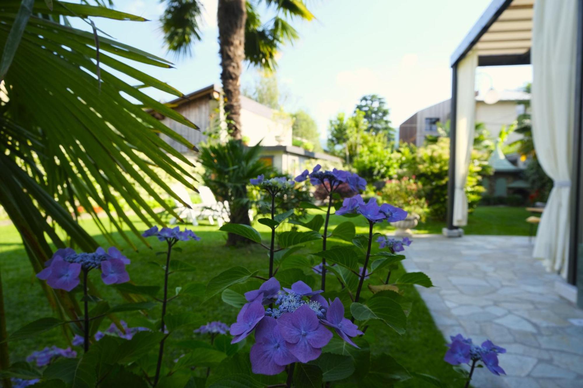 Residenza Laurum Mandello del Lario Exterior photo